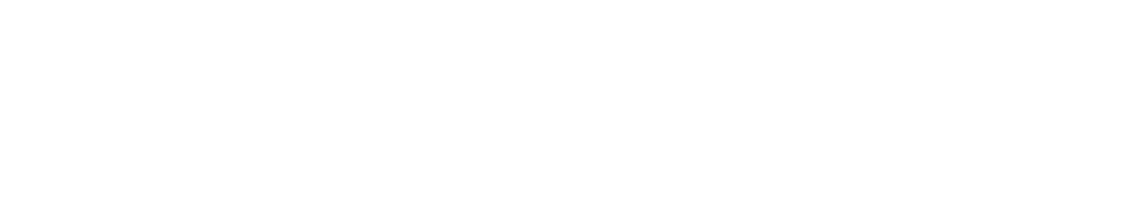 iReal Pro